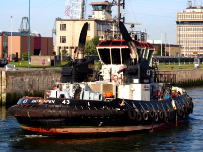 Tug 43 - IMO 9602124 - ENI 06105322, Zandvlietsluis, Port of Antwerp pic11