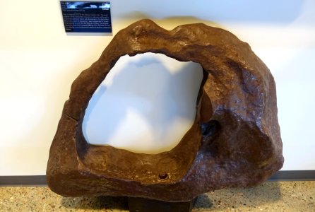 Tucson ring (reproduction), Arizona, 1850, iron - Center for Meteorite Studies - Arizona State University - Tempe, AZ - DSC05797