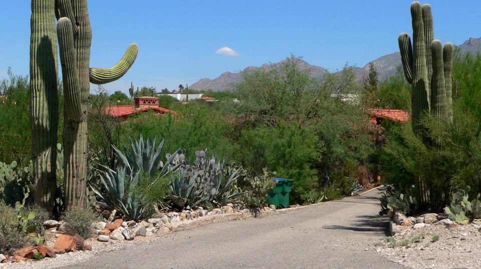 Tucson, Arizona 4141 N Pontatoc Rd 2