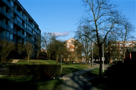 Tukums Meza street 2020-03