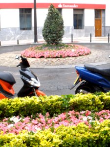 Tudela - Calle Muro 3