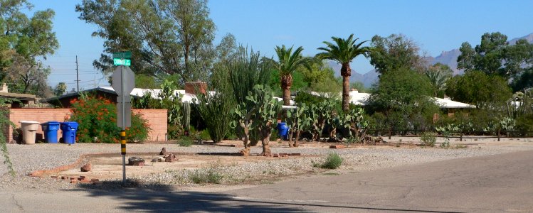 Tucson, Arizona Corinth x Brian Kent