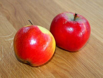Food dining fruits