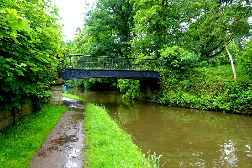 Trent and Mersey Canal - Great Haywood, Staffordshire, England - DSC09762