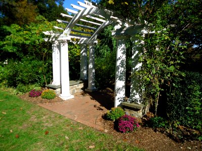 Trellis with plants in New Jersey photo