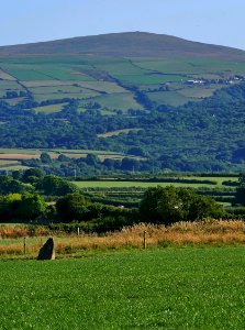 Trellyffaint Standing Stone H1b