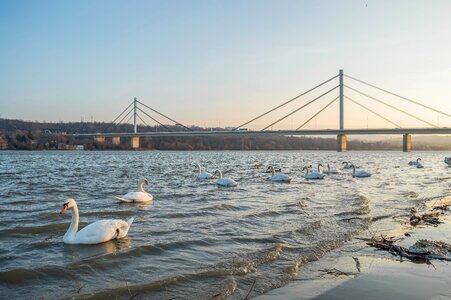 City danube winter