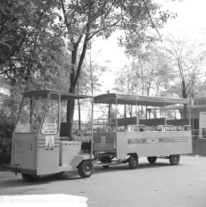 Treintje in Rotterdamse Diergaarde Blijdorp, Bestanddeelnr 917-8085
