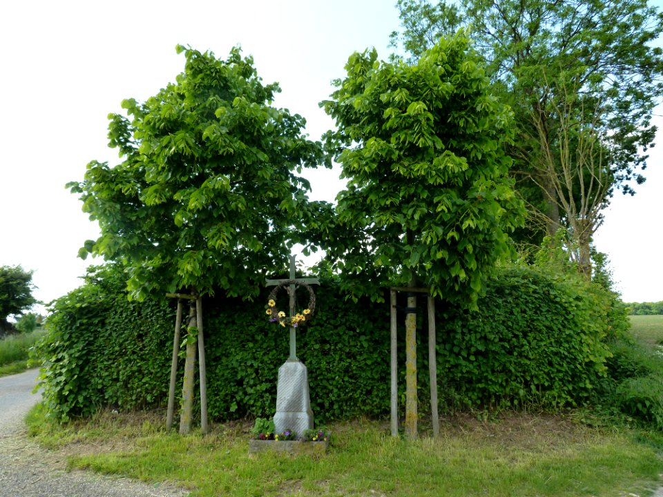 Trintelen-Wegkruis Hamerstraat