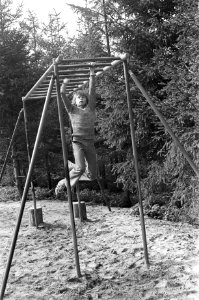 Trimmer aan een horizontale ladder, Bestanddeelnr 925-5510