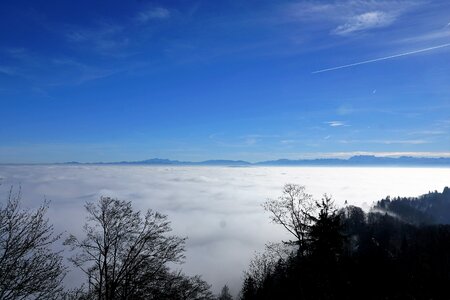 Zurich fog nature photo