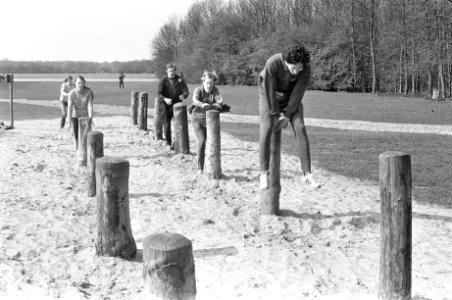 Trimmers springen over paaltjes, Bestanddeelnr 925-5501