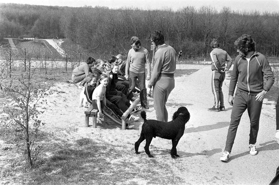 Trimmers en een hond, Bestanddeelnr 925-5504
