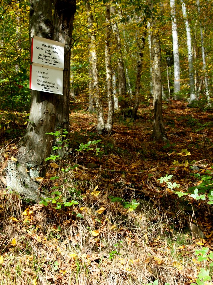 Treseburg Wegweiser