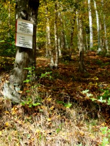 Treseburg Wegweiser
