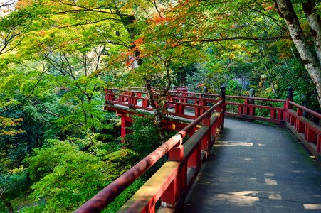 Outdoors views of japan k