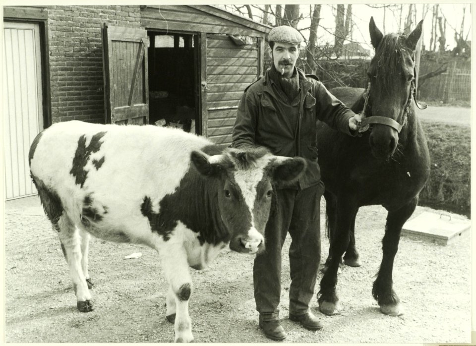 Treurend paard, NL-HlmNHA 5400465306