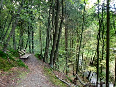 Treseburg Weisser Hirsch Bank