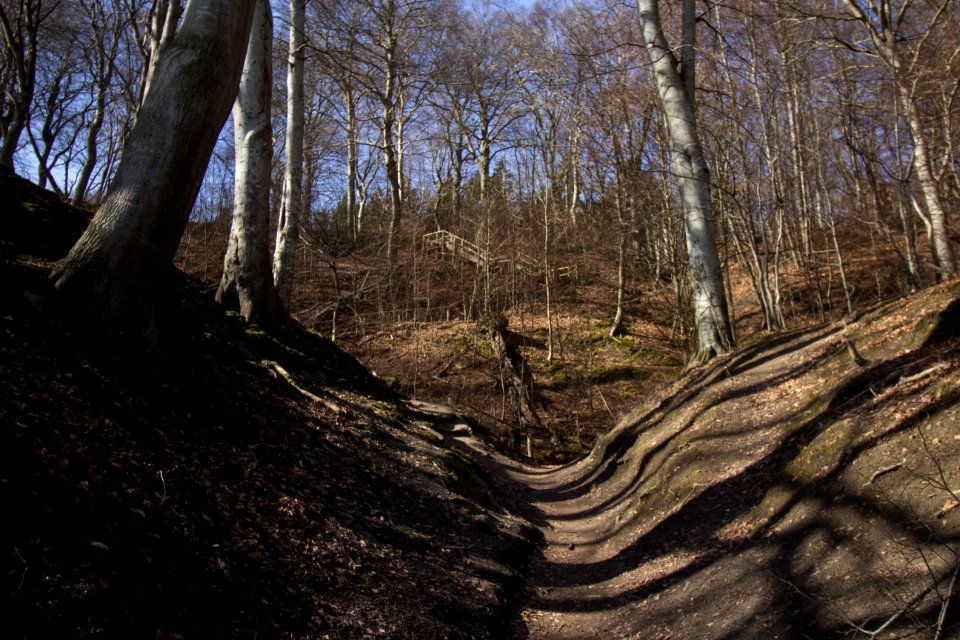Treppe zum Wiswower Hochufer - Jasmund Nationalpark