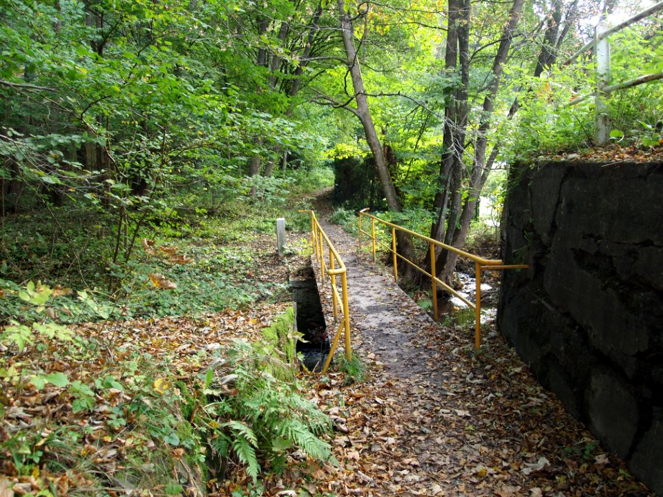 Treseburg Weisser Hirsch Bruecke