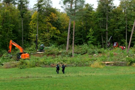 Tree cutting at Maulbach forest 2020-10-05 27