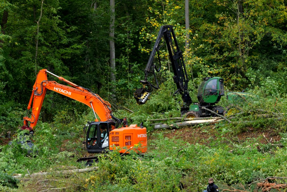 Tree cutting at Maulbach forest 2020-10-05 28
