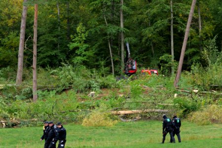 Tree cutting at Maulbach forest 2020-10-05 26