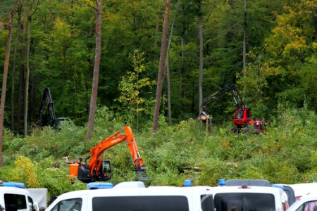 Tree cutting at Maulbach forest 2020-10-05 12