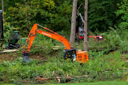 Tree cutting at Maulbach forest 2020-10-05 22