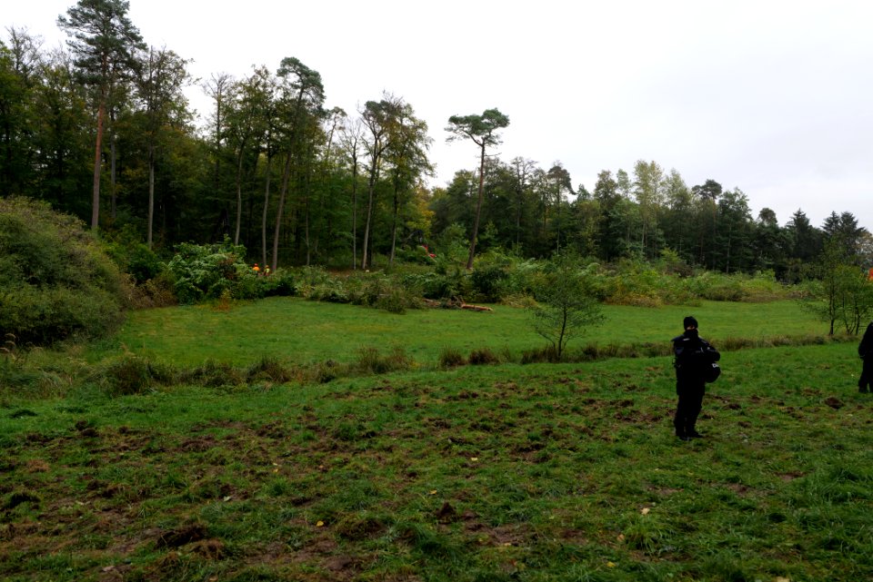 Tree cutting at Maulbach forest 2020-10-05 37