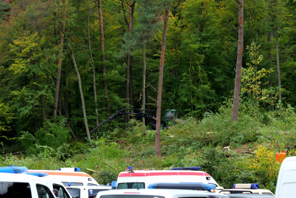 Tree cutting at Maulbach forest 2020-10-05 18