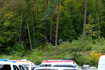 Tree cutting at Maulbach forest 2020-10-05 18