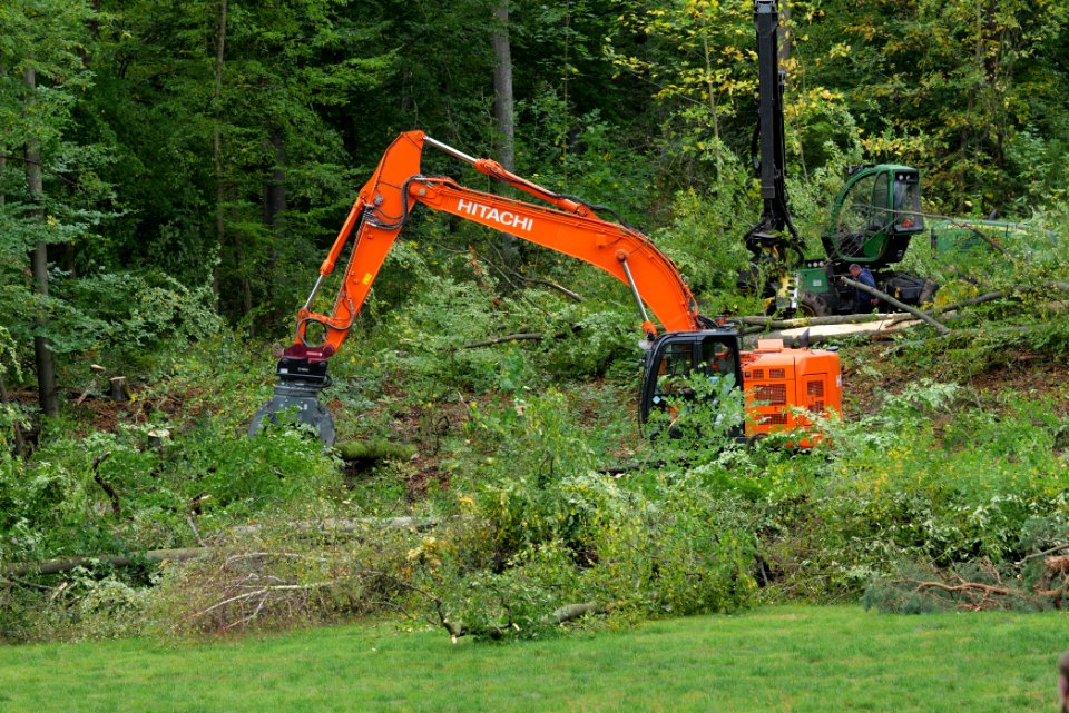 Tree cutting at Maulbach forest 2020-10-05 21