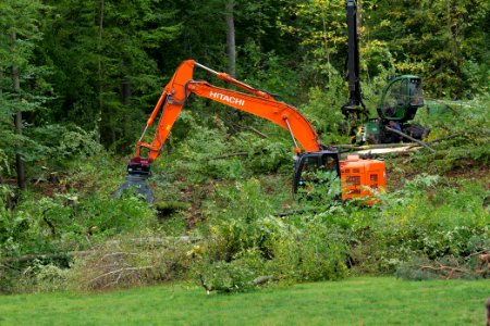 Tree cutting at Maulbach forest 2020-10-05 21