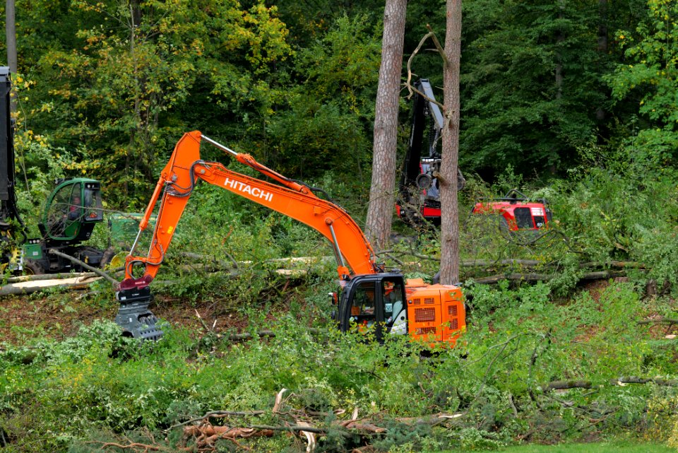Tree cutting at Maulbach forest 2020-10-05 23