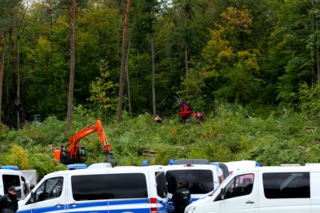 Tree cutting at Maulbach forest 2020-10-05 15