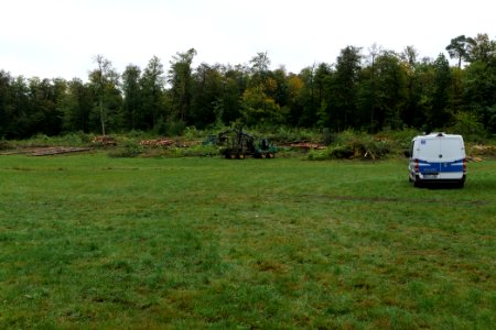 Tree cutting at Maulbach forest 2020-10-06 13