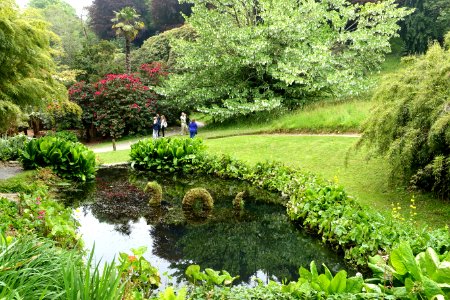 Trebah Garden - Cornwall, England - DSC01482
