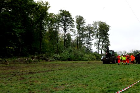 Tree cutting at Maulbach forest 2020-10-06 20