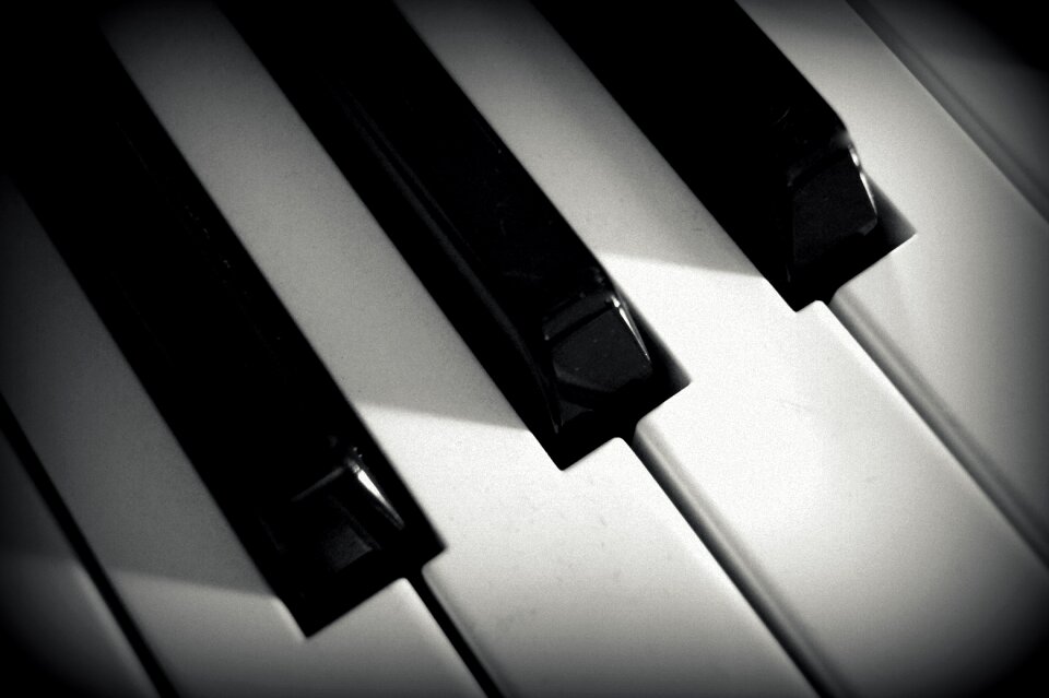 Musical instrument black keys white keys