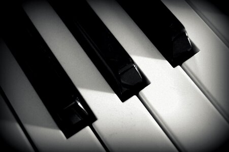 Musical instrument black keys white keys photo
