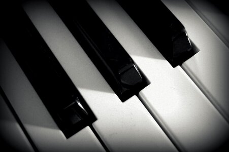 Musical instrument black keys white keys