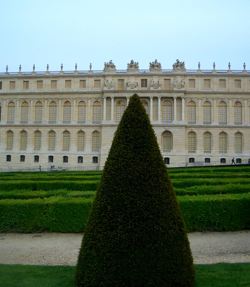 Tree before Versailles castle