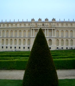 Tree before Versailles castle photo