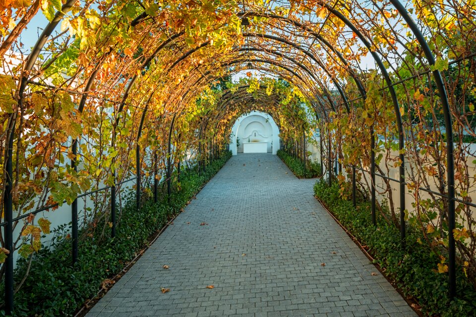 Archway tunnel harvest