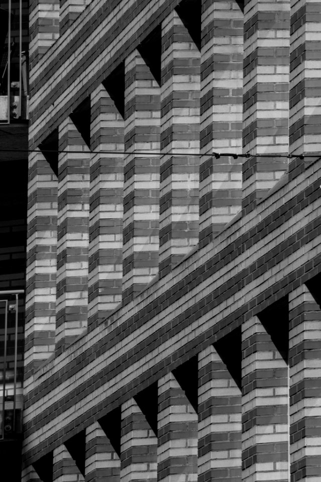 Triangles (44021442)