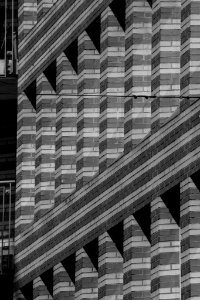 Triangles (44021442)