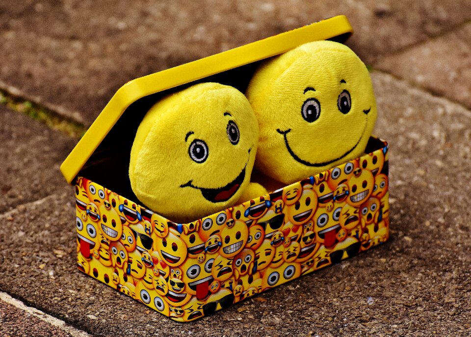 Joy emoticon emoji