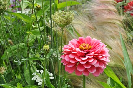 Garden color discounts