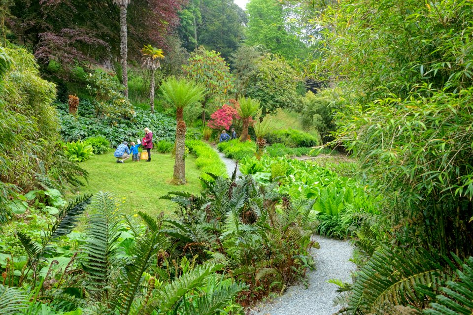 Trebah Garden - Cornwall, England - DSC01626